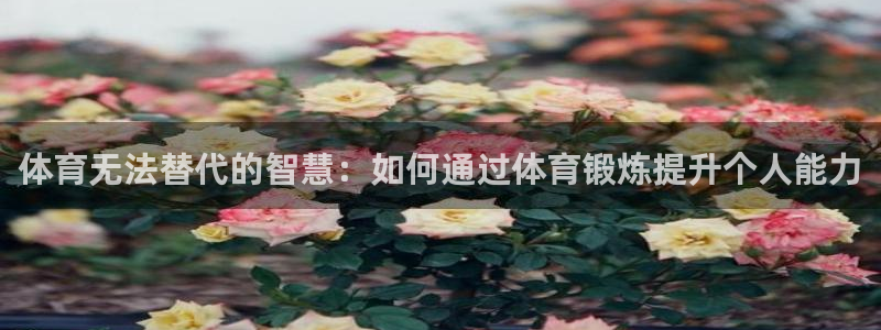 k1体育娱乐