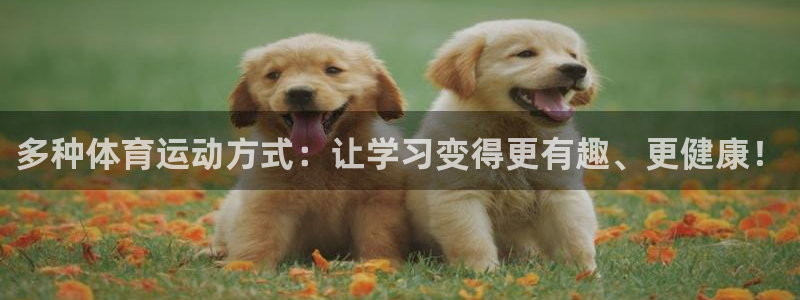 k1体育链接：多种体育运动方式：让学习变得更有趣、更健康！