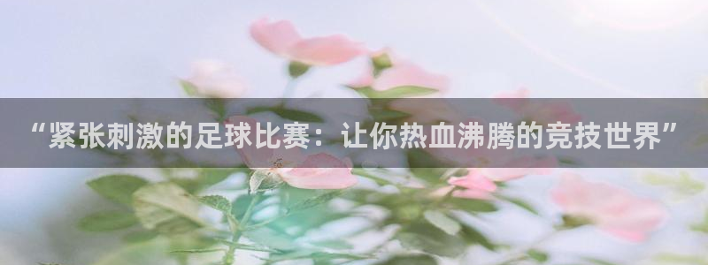 帮k1体育在线登录：“紧张刺激的足球比赛：让你热血沸腾的竞技世界”