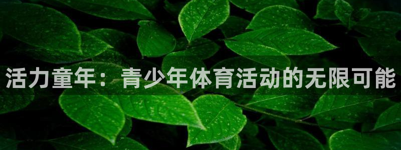 k1体育链接：活力童年：青少年体育活动的无限可能