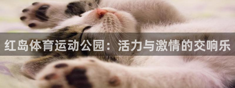 k1体育网址：红岛体育运动公园：活力与激情的交响乐