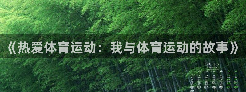 k1体育网站登录官网：《热爱体育运动：我与体育运动的故事》